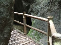 -牛背梁国家森林公园