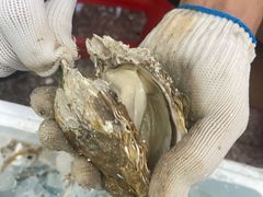 -蚝哥花姐湛江烤生蚝(美丽湾市场店)