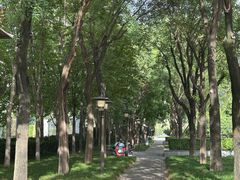 -木塔寺遗址生态公园