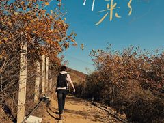 -鬼笑石后山停车场