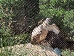 -青藏高原野生动物园