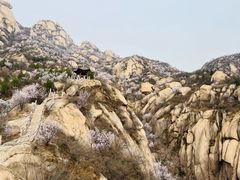 -北京凤凰岭