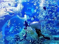 -多彩贵州城极地海洋世界