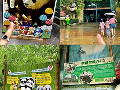 -灵玲国际马戏城