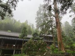 -东天目山风景区