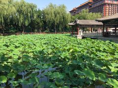 -大明幻境第一城