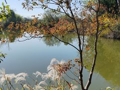 -西溪国家湿地公园