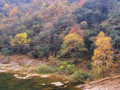 -燕子河大峡谷天坑仙境