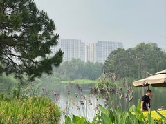 -白鹭湾湿地公园