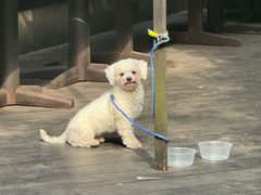 -素描餐厅(灵隐天竺店)
