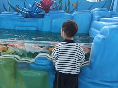-海合安成都极地海洋公园