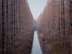 -黄海国家森林公园