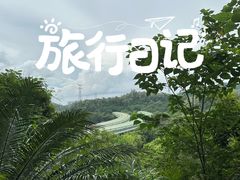 -深圳仙湖植物园