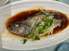 清蒸鲈鱼-桃子餐厅·天津菜(红星路直营店)
