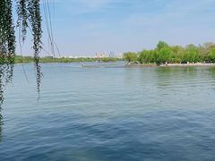 -济南大明湖景区