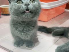 -FAELING PETS美天灵宠物(富力广场店)