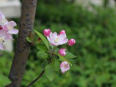 -菁汇公寓
