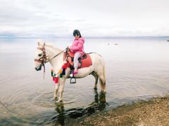 -青海湖国家重点风景名胜区