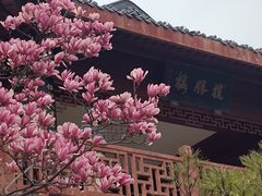 -堤角公园