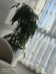 -HEYAN荷妍专业脱毛连锁机构
