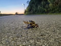 -长春净月潭风景名胜区