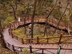 -大岭沟猕猴桃谷风景区
