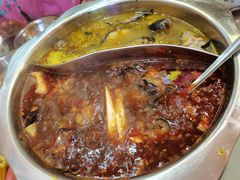 -世荷自助梭边鱼火锅城(香山店)