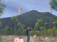 -碓臼峪自然风景区