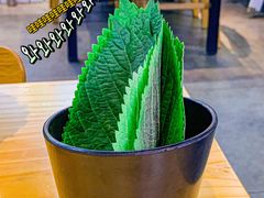 -红辣椒八爪鱼特色韩国料理专门店(远景路旗舰店)