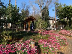 -大理古城-玉洱园