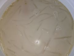 -顺德了能馆(虎门店)