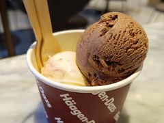 冰激凌双球-哈根达斯(虹口店)