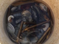-辽宁团山国家级海洋公园