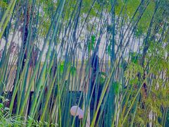 -河南省黄河迎宾馆