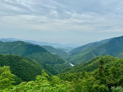 -四明山国家森林公园