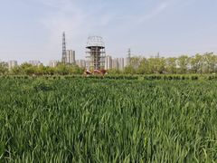 -永定河休闲森林公园