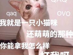 -又卷烧饼(新区龙湖店)