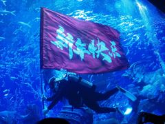 -哈尔滨波塞冬海底世界