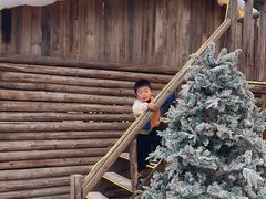 -HERRE·FARM 赫尔露营农场·团建聚会包场