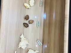 -广东惠东海龟国家级自然保护区