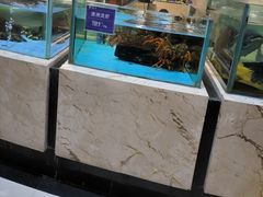 -旺顺阁海鲜广场(亚运村店)