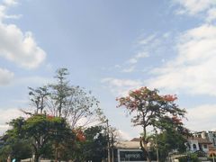 -宁曼路