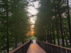 -双山岛