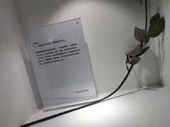 -深圳失恋博物馆再见前任(汇商名苑店)