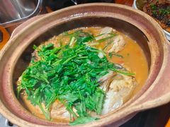 -九道菜有鸡鱼头(石鼓路店)