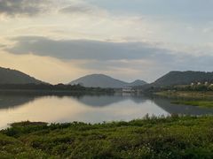 -风云岭森林公园