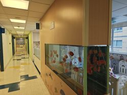 -杭州贝瑞斯美华妇儿医院·早孕·产检·儿科