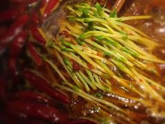 -辣伍鲜毛肚老火锅(元一店)