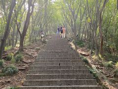 -紫金山山顶公园