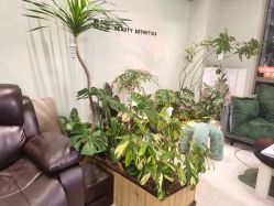 -Lumi露米·美甲美睫品质店